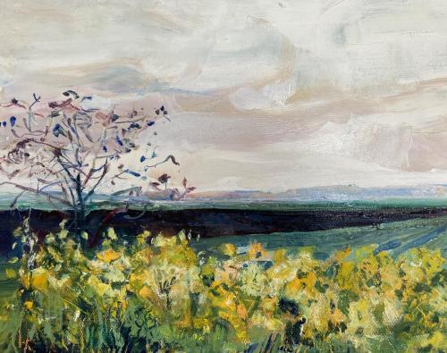 Tree by Rape Field, Spring 2021